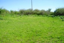 Land For Sale near Yambol