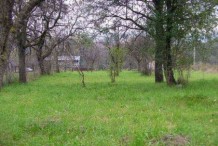 Land For Sale near Lovech