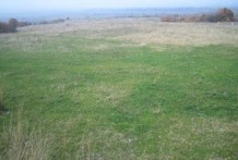 Land For Sale near Haskovo