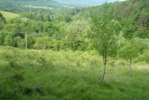 Land For Sale near Lovech