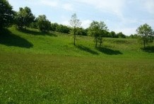 Land For Sale near Lovech