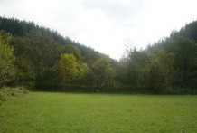 Land For Sale near Lovech